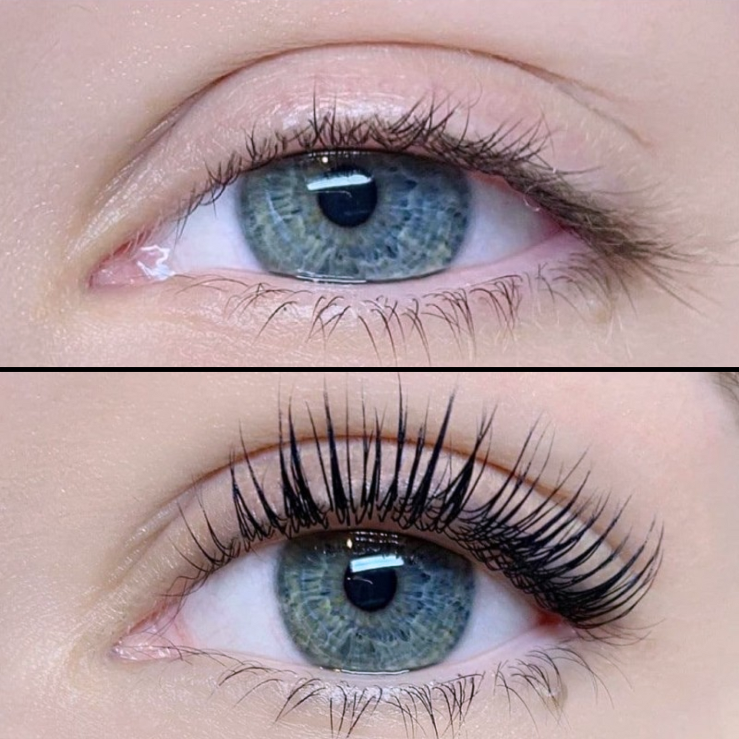 The Lash Elixir | High-Density Growth Serum| ®